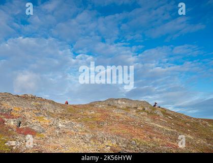 Iqaluit, Nunavut, Kanada – 04. September 2022: Eine kleine Gruppe von Menschen pflückt in der Tundra über der Stadt Beeren Stockfoto
