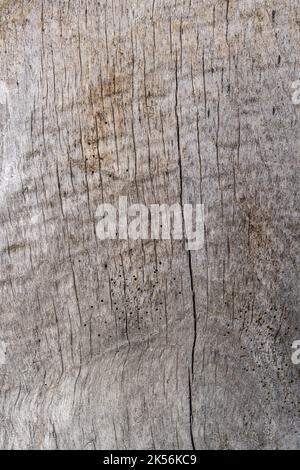Alte rustikale braune rustikale Holz Hintergrund Stockfoto