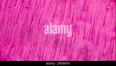 Glitter Hintergrundfarbe Sand Textur rosa violett Stockfoto