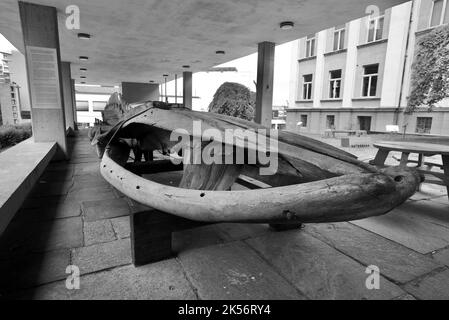 Flossenwal-Skelett (Balaenoptera physalus) - das Skelett eines Fin Wals, das vor dem Stavanger Museum, Norwegen, ausgestellt ist. Skjelett AV Finnhval. Stockfoto