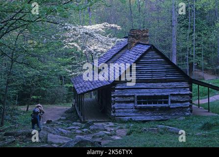 Noah „Bud“ Ogle Cabin Pioneer Homestead im Smoky Mountains National Park Stockfoto