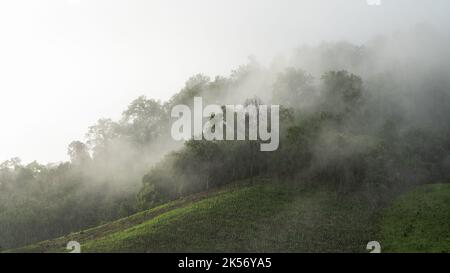 Wunderschöne tropische Berglandschaft mit niedrigen Wolken und Regen auf Wald während der Monsunsaison, Chiang Dao, Chiang Mai, Thailand Stockfoto