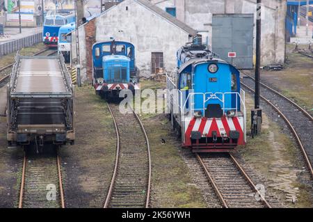 Elektrische Lokomotiven, Waggons, Eisenbahninfrastruktur an einem bewölkten Herbsttag. Stockfoto