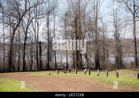 ERHOLUNGSGEBIET LAKE IATT, KISATCHIE NATIONAL FOREST, LOUISIANA/USA – FEBRUAR 28 2020: Parken am Erholungsgebiet Lake Iatt in Kisatchie Stockfoto