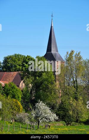 Frankreich, Territoire de Belfort, Phaffans, Notre Dame de l Assomption Kirche aus dem 18.. Jahrhundert, Glockenturm Stockfoto