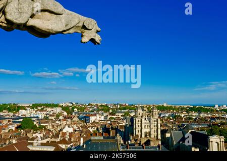 Frankreich, Cote d'Or, Dijon, UNESCO-Weltkulturerbe, Palast der Herzöge von Burgund, Blick vom Turm Philippe Le Bon, Wasserspeier über der Kirche Saint Michel Stockfoto