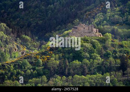 Frankreich, Haute Loire, Goudet, Beaufort das um 1200 erbaute Schloss blickt auf das Loire-Tal und führt mit einem Esel auf dem Robert Louis Stevenson Trail (GR 70) Stockfoto