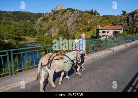 Frankreich, Haute Loire, Goudet, Beaufort das um 1200 erbaute Schloss blickt auf das Loire-Tal und führt mit einem Esel auf dem Robert Louis Stevenson Trail (GR 70) Stockfoto