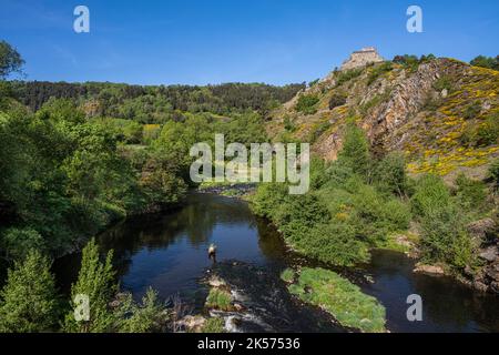 Frankreich, Haute Loire, Goudet, Beaufort das um 1200 erbaute Schloss blickt auf das Loire-Tal und führt mit einem Esel auf dem Robert Louis Stevenson Trail (GR 70) Stockfoto