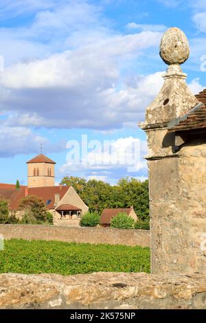 Frankreich, Cote d'Or, Cote de Nuits, Route des Grands Crus, Burgund Klimazonen, die von der UNESCO zum Weltkulturerbe erklärt wurden, Gevrey Chambertin, Saint Aignan Kirche (12.-15. Jahrhundert) vom Clos Saint Vineyard James aus gesehen Stockfoto