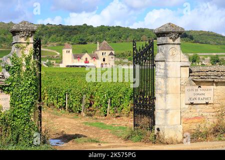 Frankreich, Cote d'Or, Cote de Nuits, Route des Grands Crus, Burgund Klimazonen, die von der UNESCO zum Weltkulturerbe erklärt wurden, Vougeot, Clos Vougeot, Jean Raphet Anwesen mit dem Château de la Tour (1890) im Hintergrund Stockfoto