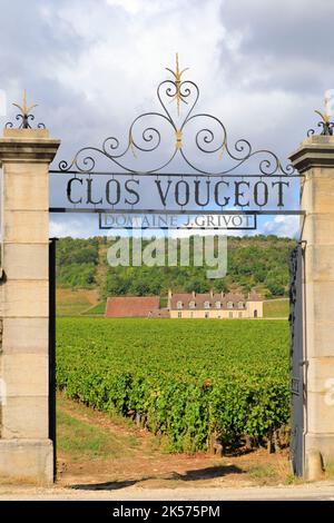 Frankreich, Cote d'Or, Cote de Nuits, Route des Grands Crus, Burgund Klimazonen, die von der UNESCO zum Weltkulturerbe erklärt wurden, Vougeot, Clos Vougeot, Weinberge des Domaine J. Grivot mit dem Schloss Clos de Vougeot im Hintergrund (12..-16.. Jahrhundert) Stockfoto