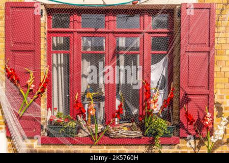 Frankreich, Somme, Baie de Somme, Saint-Valery-sur-Somme, Fête de la mer à Saint-Valery. Die Bewohner des Seemannsviertels (der Courtgain, der Bezirk derer, die wenig verdienen!) Dekorieren Sie ihre Häuser mit Fischernetzen und Gladiolen. Einige von ihnen verkleiden sich in historischen Kostümen und nach dem Gottesdienst wird eine Prozession organisiert, um einen Kranz auf See zum Gedenken an die verstorbenen Matrosen zu legen. Stockfoto