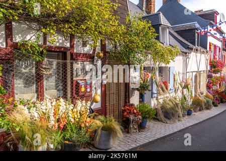 Frankreich, Somme, Baie de Somme, Saint-Valery-sur-Somme, Fête de la mer à Saint-Valery. Die Bewohner des Seemannsviertels (der Courtgain, der Bezirk derer, die wenig verdienen!) Dekorieren Sie ihre Häuser mit Fischernetzen und Gladiolen. Einige von ihnen verkleiden sich in historischen Kostümen und nach dem Gottesdienst wird eine Prozession organisiert, um einen Kranz auf See zum Gedenken an die verstorbenen Matrosen zu legen. Stockfoto