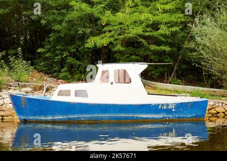 Altes blaues Motorboot auf dem ruhigen Fluss, das in der Nähe der Küste schwimmt. Fluss- und Wassertransport Stockfoto