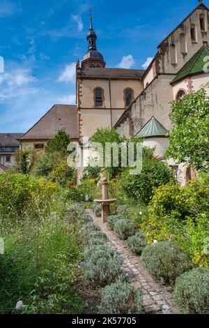 Kräutergarten Ansicht der Marienkirche‘der Altstadt von Gengenbach, Kinzigtal, Ortenau. Baden Württemberg, Deutschland, Europa Stockfoto