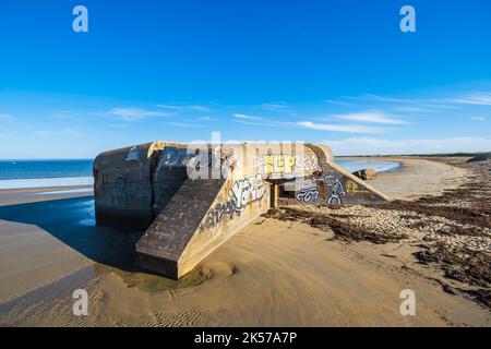 Frankreich, Morbihan, Erdeven, Great Site of France Wilde Dünen von Gavres nach Quiberon, Kerminihy-Strand auf dem Küstenwanderweg oder GR 34 Fernwanderweg, Blockhaus der Atlantikmauer Stockfoto