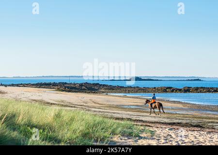 Frankreich, Morbihan, Erdeven, Great Site of France Wilde Dünen von Gavres nach Quiberon, Kerminihy-Strand auf dem Küstenwanderweg oder GR 34 Fernwanderweg Stockfoto