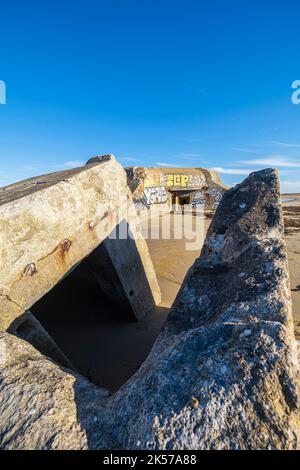 Frankreich, Morbihan, Erdeven, Great Site of France Wilde Dünen von Gavres nach Quiberon, Kerminihy-Strand auf dem Küstenwanderweg oder GR 34 Fernwanderweg, Blockhaus der Atlantikmauer Stockfoto