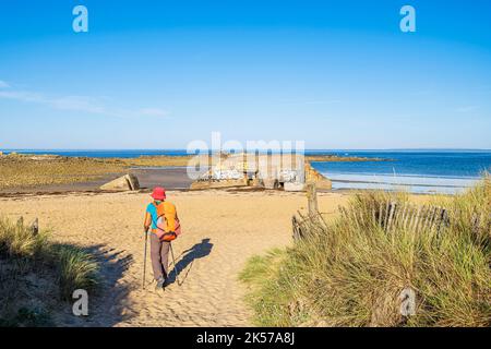 Frankreich, Morbihan, Erdeven, Great Site of France Wilde Dünen von Gavres nach Quiberon, Kerminihy-Strand auf dem Küstenwanderweg oder GR 34 Fernwanderweg, Blockhaus der Atlantikmauer Stockfoto