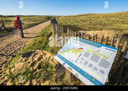 Frankreich, Morbihan, Erdeven, Great Site of France Wilde Dünen von Gavres nach Quiberon wandern Sie auf dem Küstenwanderweg oder dem Weitwanderweg GR 34 Stockfoto