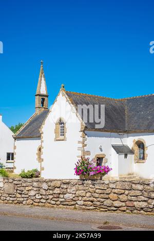 Frankreich, Morbihan, Saint-Pierre-Quiberon, der Weiler Portivy, die Kapelle Notre-Dame de Lotivy auf dem Küstenwanderweg oder der Fernwanderweg GR 34 Stockfoto