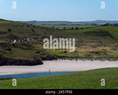 County Cork, Irland, 28. Mai 2022. Strauch-bedeckte Dünen am Ufer des Atlantischen Ozeans, Frühling. Ein weißer Mann geht am Ufer entlang. Grünes Gras c Stockfoto