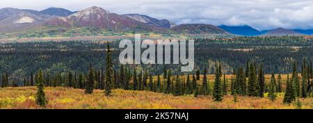 Ein Blick über das Nenana River Tal zu fernen Bergen, vom Denali Highway in Alaska aus gesehen. Stockfoto