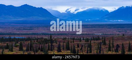 Ein Blick vom Denali Highway in Alaska in der Nähe von Monahan Creek, gesehen mit Herbstfarbe im September. Stockfoto