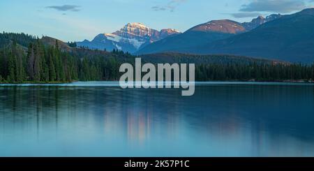 Lake Beauvert und Mount Edith Cavell Panorama bei Sonnenuntergang, Jasper Nationalpark, Alberta, Kanada. Stockfoto