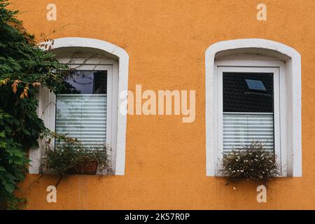 Ein Mauerfragment eines alten Gebäudes mit geschälter gelber Farbe. Ein Blumengarten ist in einem Fenster gepflanzt. Typisch Bayerische Fenster Mit Grün Stockfoto