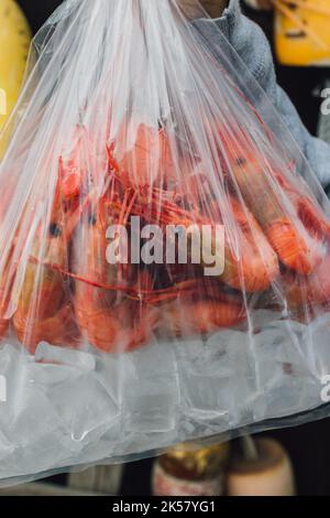 Frisch gefangener Spot Garnelen in Plastiktüte auf Eis Stockfoto