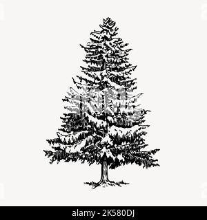 Vintage Schnee, Baum, Winterskizze, Winter, Kiefer, Winter schwarz und weiß, Kiefer isoliert, Pflanze schwarz und weiß, Kiefer Abbildung, Winter tre Stock Vektor