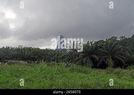 Blick auf den Pico Cao Grande, der in den Wolken verschwindet Principe Island, Sao Tome und Principe, Afrika September Stockfoto