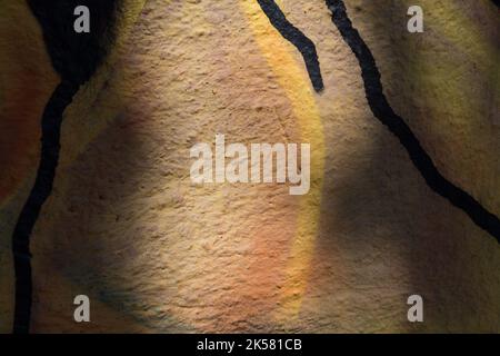 Straßenwandmalerei mit Acrylfarbe. Sie nimmt die gesamte Oberfläche des Bildes ein. Nahaufnahme. Stockfoto