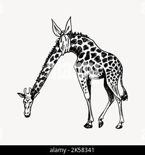 Giraffenzeichnung, handgezeichnete Illustration, Wildlife Illustration Vektor. Stock Vektor