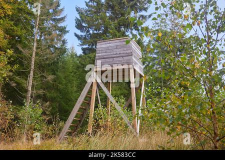 Turm für Jäger im Wald in Dänemark Stockfoto