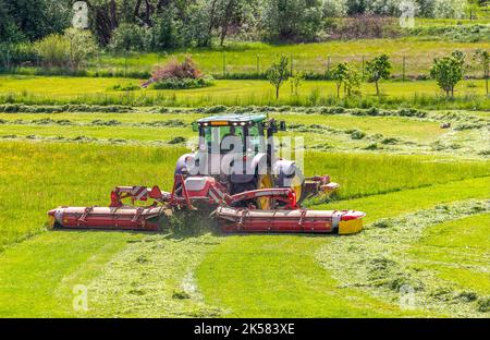 Traktor auf grüner Wiese schneidet Gras Stockfoto