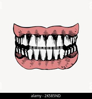 Menschliche Zähne, Vintage-Zahn Illustration Vektor. Stock Vektor