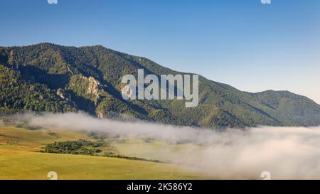 Neblige Berglandschaft an einem Sommermorgen. Nationalpark Mala Fatra, Slowakei, Europa. Stockfoto