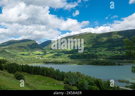 Blick auf den Gudbrandsdalslågen Fjord in Norwegen Stockfoto