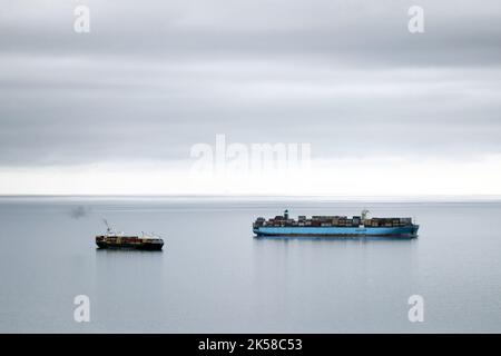 Blick auf den Hafen von Santa Margherita Ligure, Genua, vom Hafen, touristischer Ort an der Riviera Ligure, mittelmeer, Italien Stockfoto