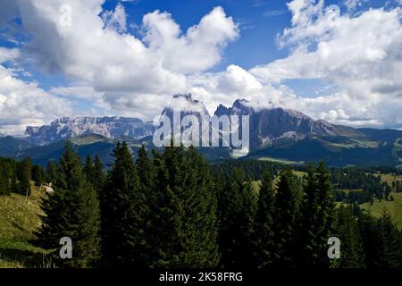Alpe di Siusi Stockfoto