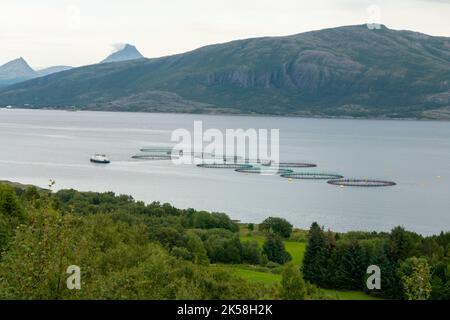 Lachsfarm auf See auf der Insel Leka in Norwegen Stockfoto