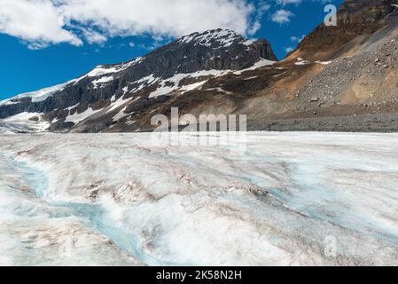 Athabasca-Gletscher mit schmelzendem Wasser, das einen kleinen Fluss bildet, Jasper-Nationalpark, Alberta, Kanada. Stockfoto