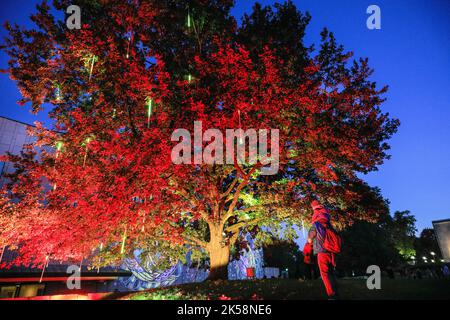 Essen, NRW, Deutschland. 06. Oktober 2022. Der Baum der Wünsche, eine Lichtinstallation von Richard Röhrhoff. Das jährliche Essen Light Festival, ein kostenloses öffentliches Festival interaktiver Lichtinstallationen in der Innenstadt an 14 Standorten, kehrt nach Essen zurück, dessen Installationen bis zum 9.. Oktober jeden Abend beleuchtet werden. Kredit: Imageplotter/Alamy Live Nachrichten Stockfoto