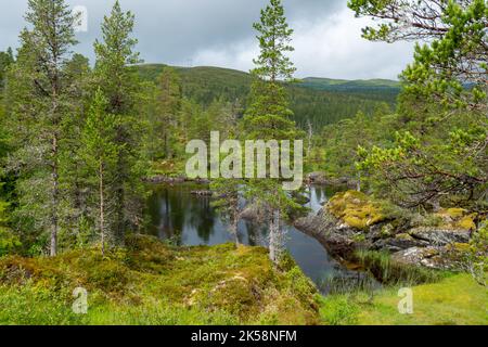 Kleiner See im Wald in Norwegen Stockfoto