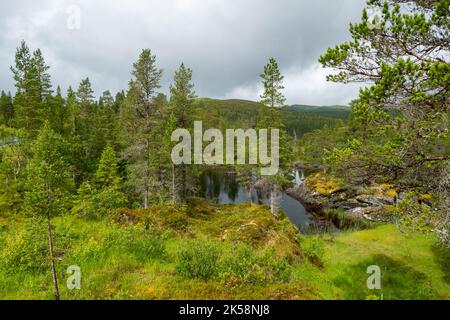 Kleiner See im Wald in Norwegen Stockfoto