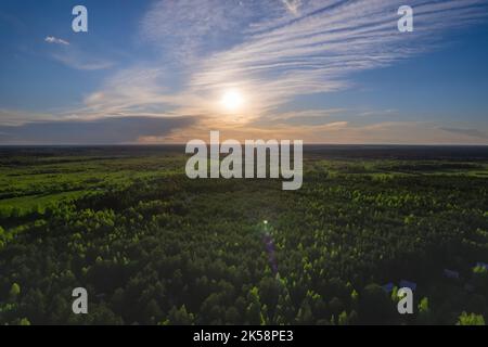 Sonnenaufgang über grünem Wald. Luftaufnahme. Direkte Sonne mit Lichtreflexen Stockfoto