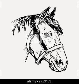 Pferdekopf Cliparts, Vintage Tier Illustration Vektor. Stock Vektor